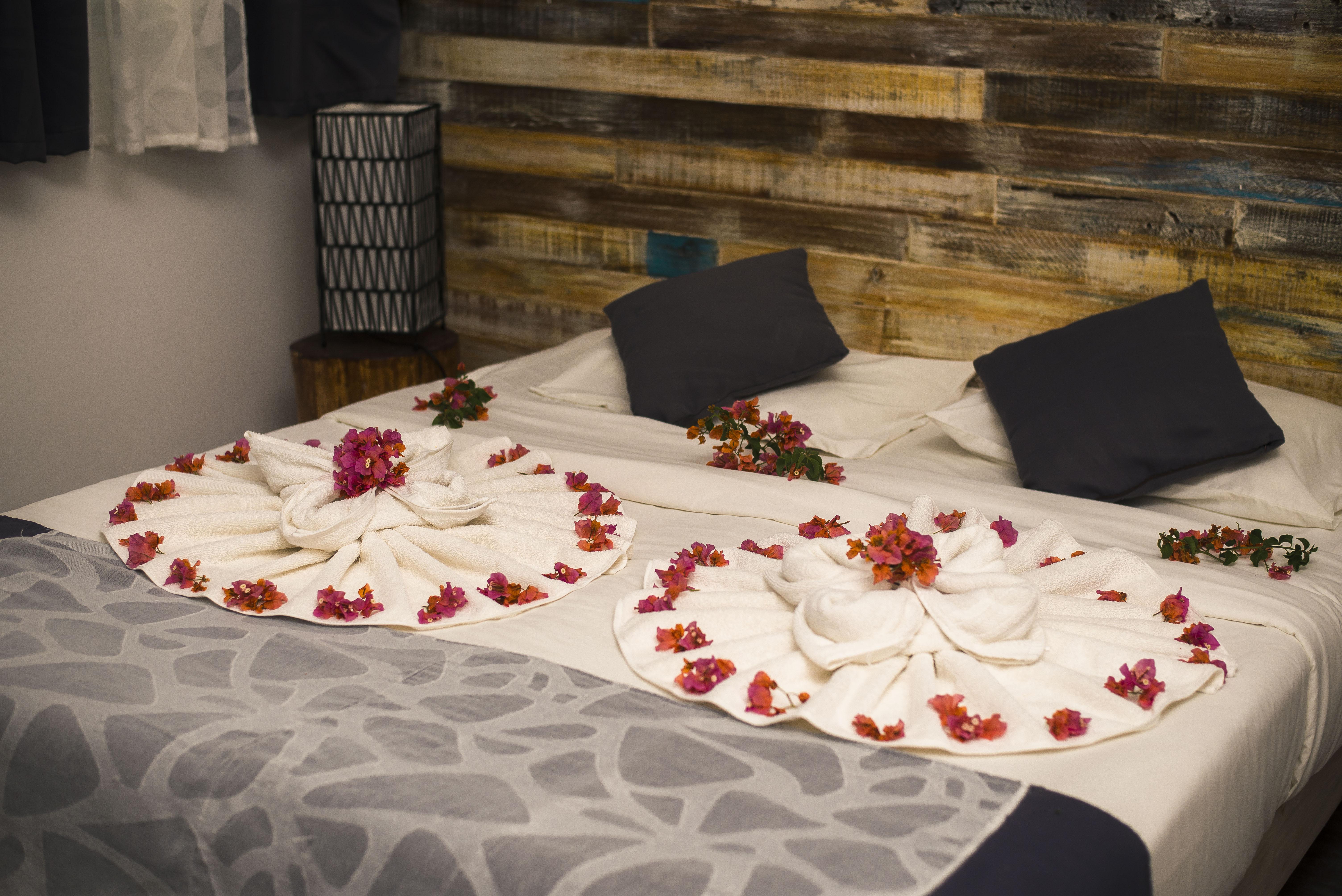 그란데 바이예 스텔라 리나 B&B 외부 사진